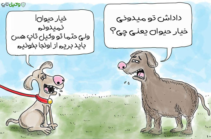کاریکاتور خیار حیوانات